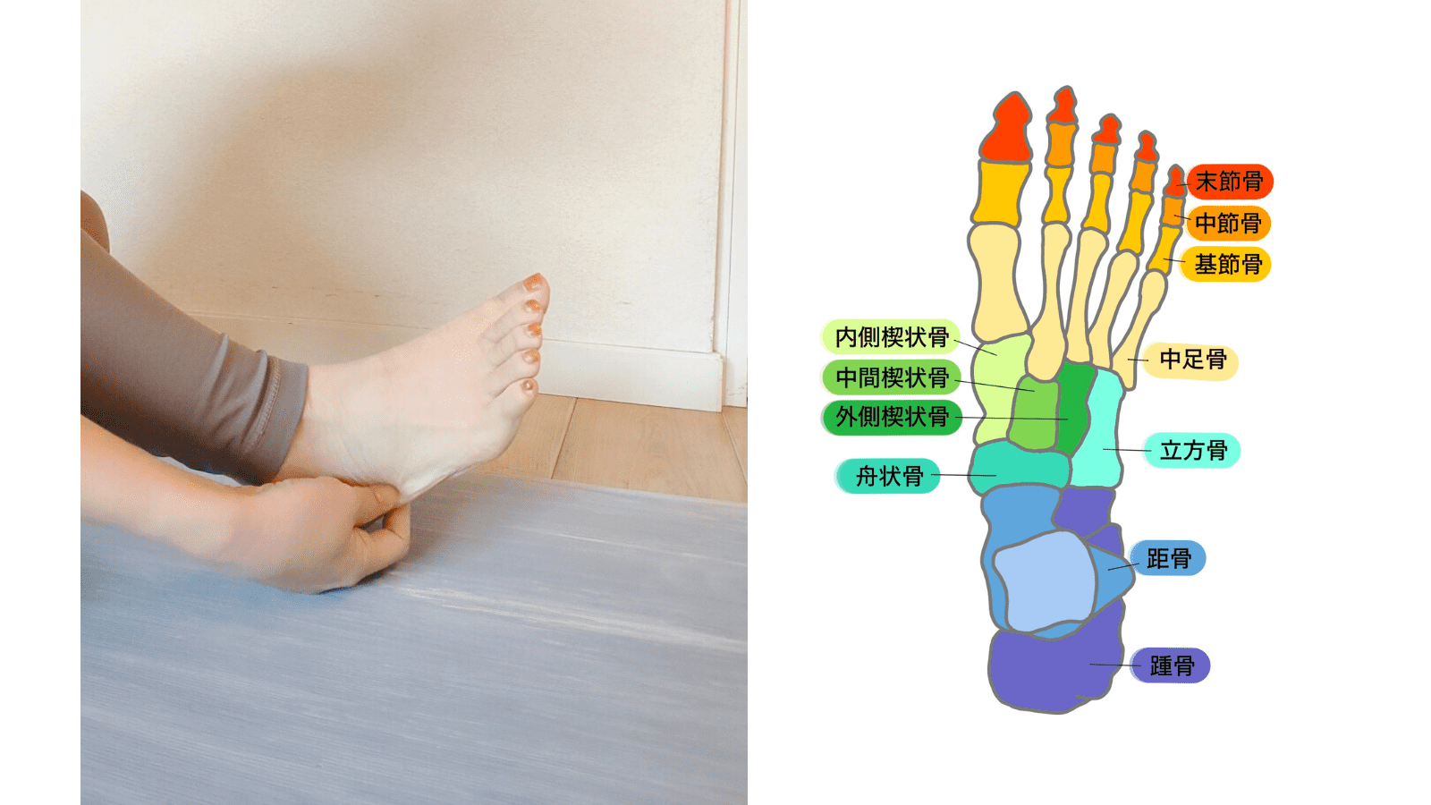 足の骨のイラスト　立方骨ほぐし