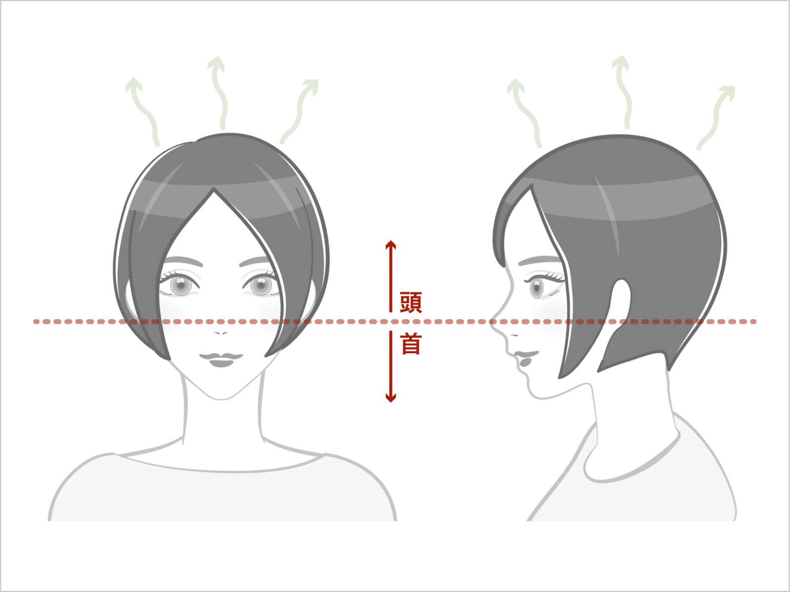 頭は耳たぶよりも上にある