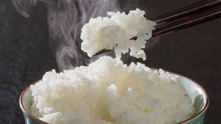 マグネシウム不足を防ぐ！朝、ごはんにのせると良い食材とは？「意識しないと足りなくなる栄養素…」