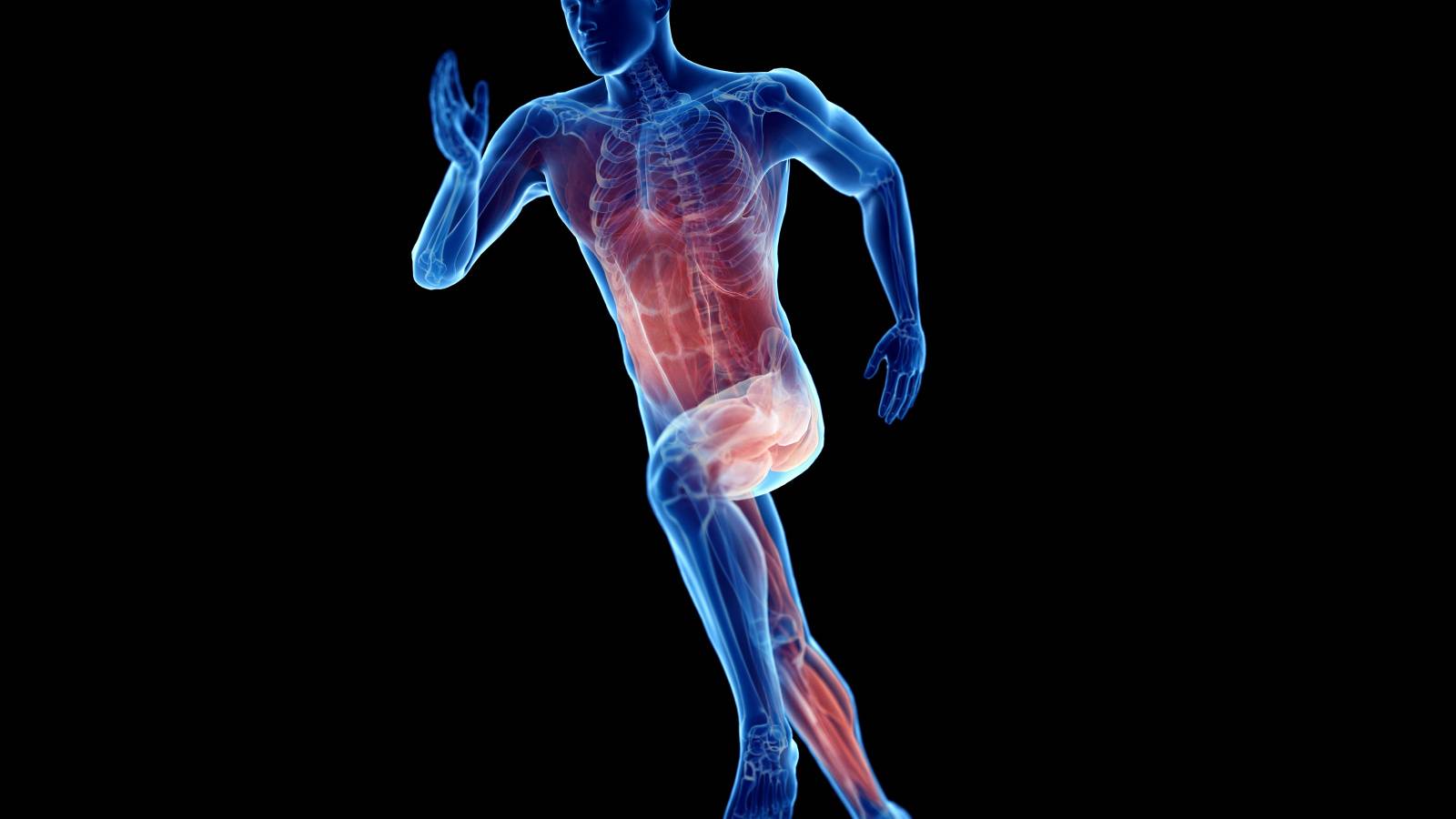  理学療法士が解説！パフォーマンスを発揮する「身体操作」とそのメリット３選 