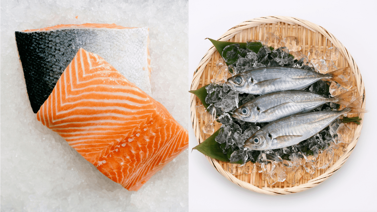 「鮭」と「サバ」、ダイエット中に食べるならどっち？管理栄養士が本音で比較