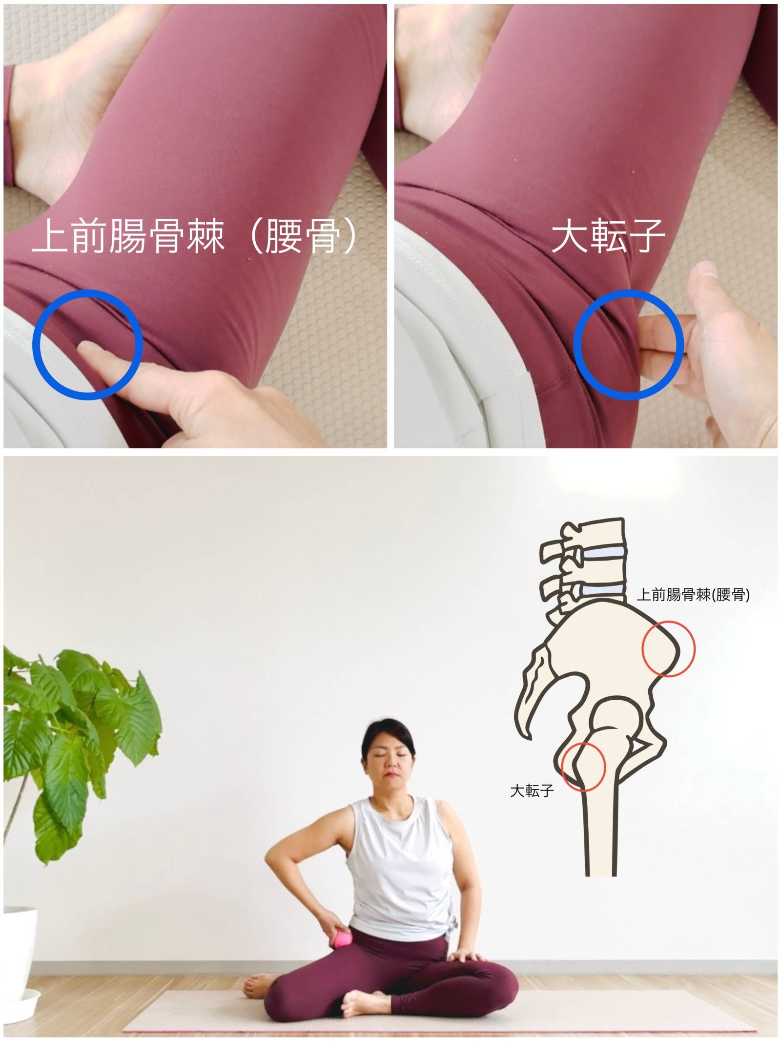 テニスボールほぐし