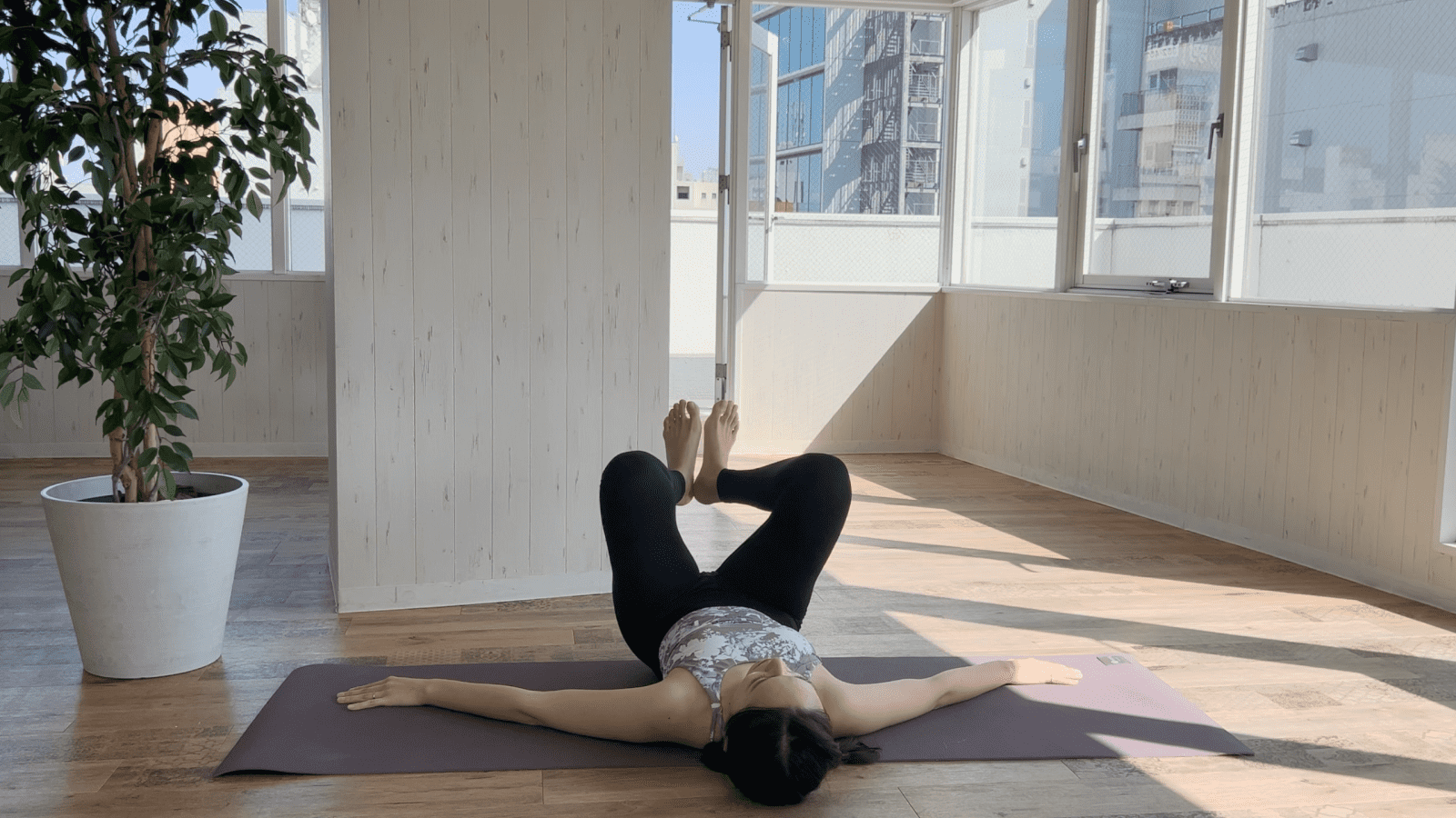 フロッグ・プレス１