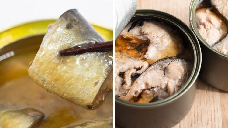 「サバ缶」と「イワシ缶」、ダイエット中に食べるならどっち？管理栄養士が比較して解説