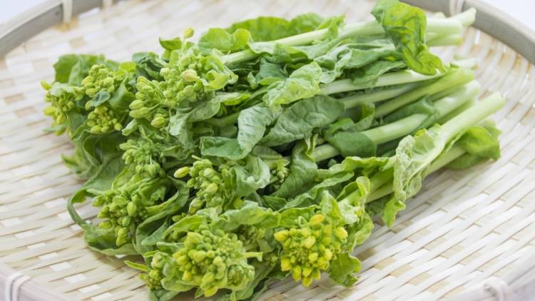 菜の花の栄養、ちゃんと摂れてる？おすすめの食べ方と食べ合わせ3選｜管理栄養士が解説
