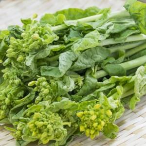 菜の花の栄養、ちゃんと摂れてる?おすすめの食べ方と食べ合わせ3選|管理栄養士が解説