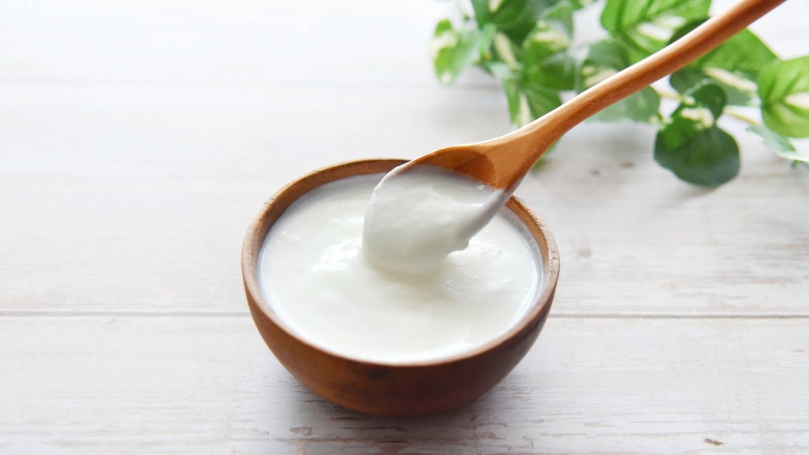 鉄不足を防ぐ！朝、ヨーグルトにかけたい意外な飲み物｜管理栄養士が解説