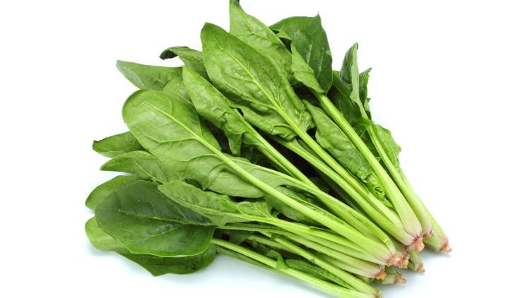 ほうれん草の鉄分、ちゃんと吸収できてる?一緒に食べると吸収力が高まる食材とは|管理栄養士が解説