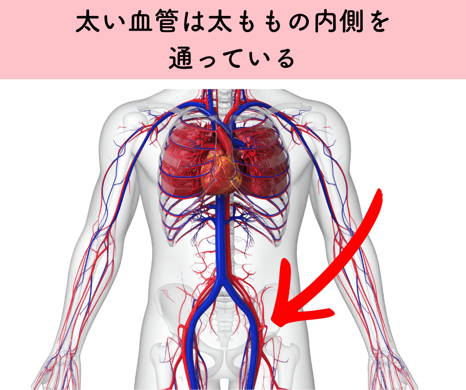 血流のイメージ