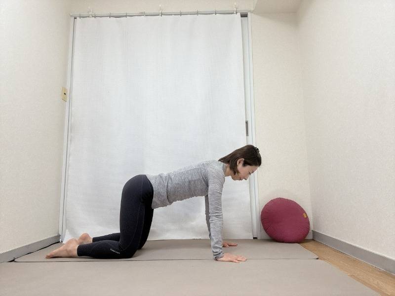 四つ這いの体勢