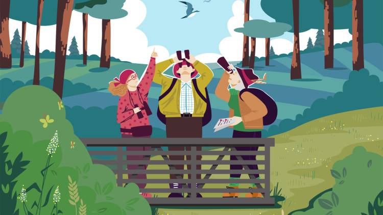 【バードウオッチャーは脳が若い?!】専門性が脳の若さを保つ可能性を最新研究が示唆