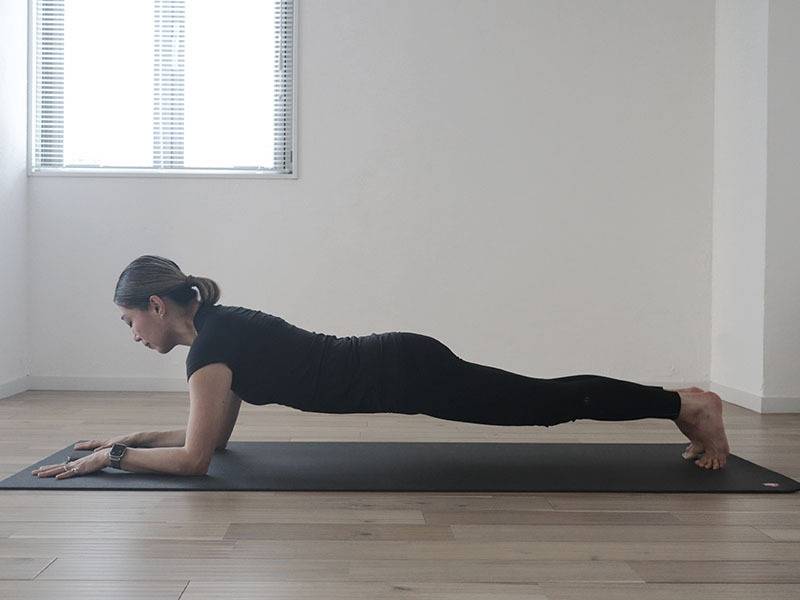 前鋸筋フルプランク