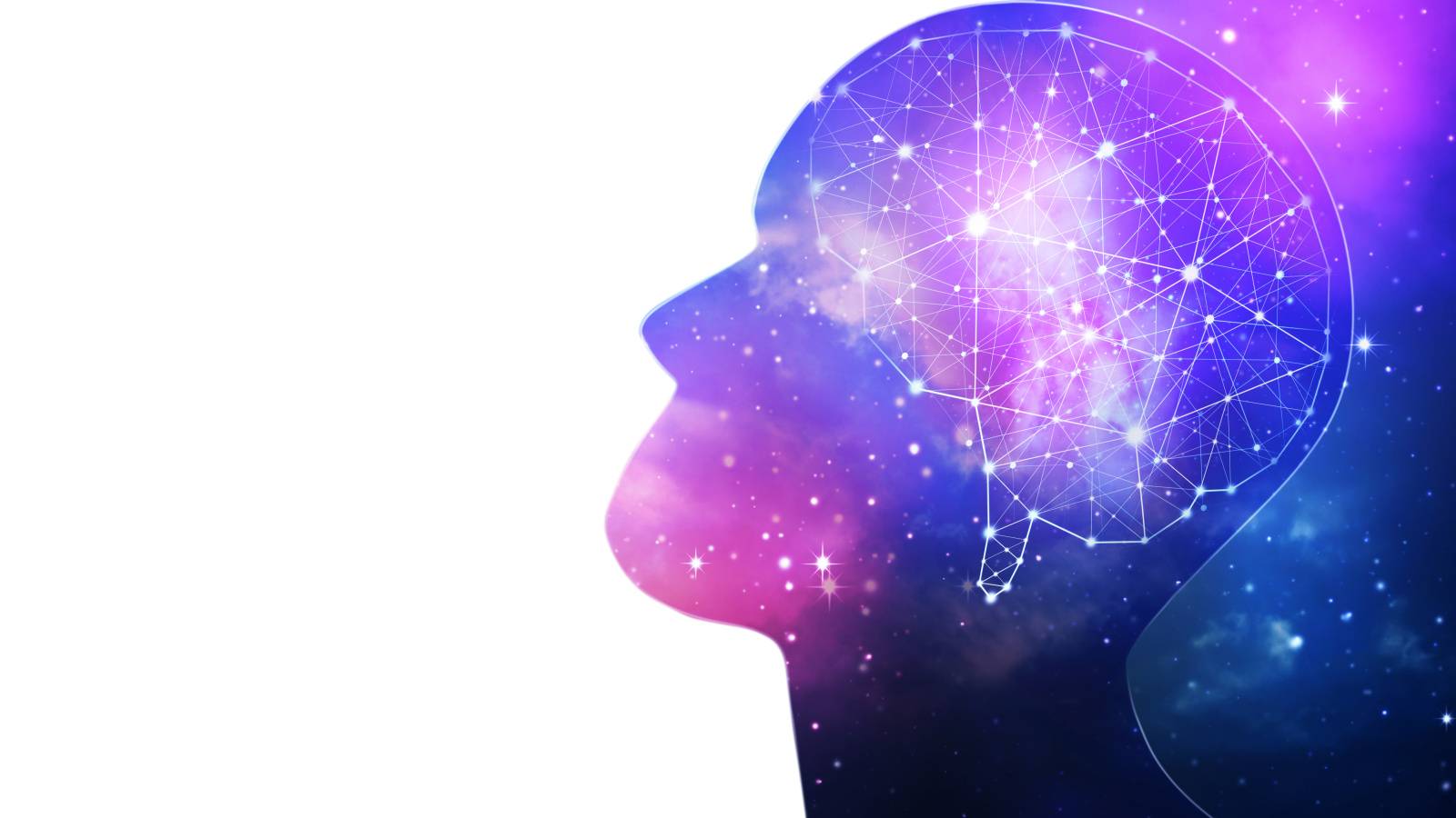  認知機能の活性化にも期待？！【専門家が解説】脳と香りの密接な関係 