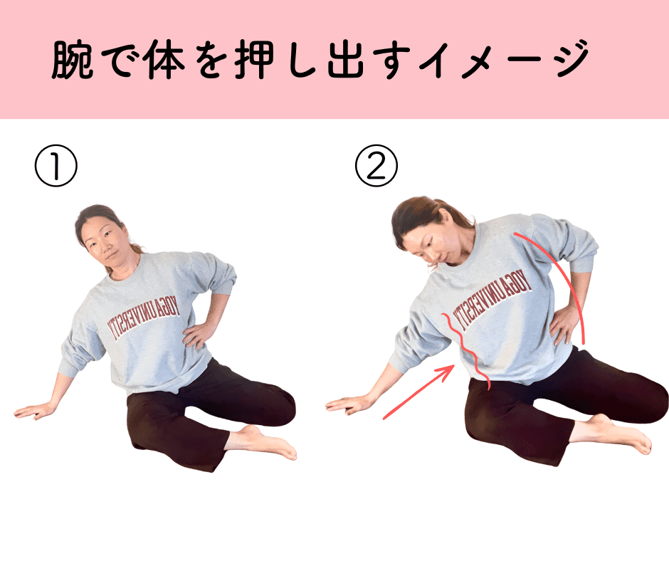 ハミ肉トレーニング