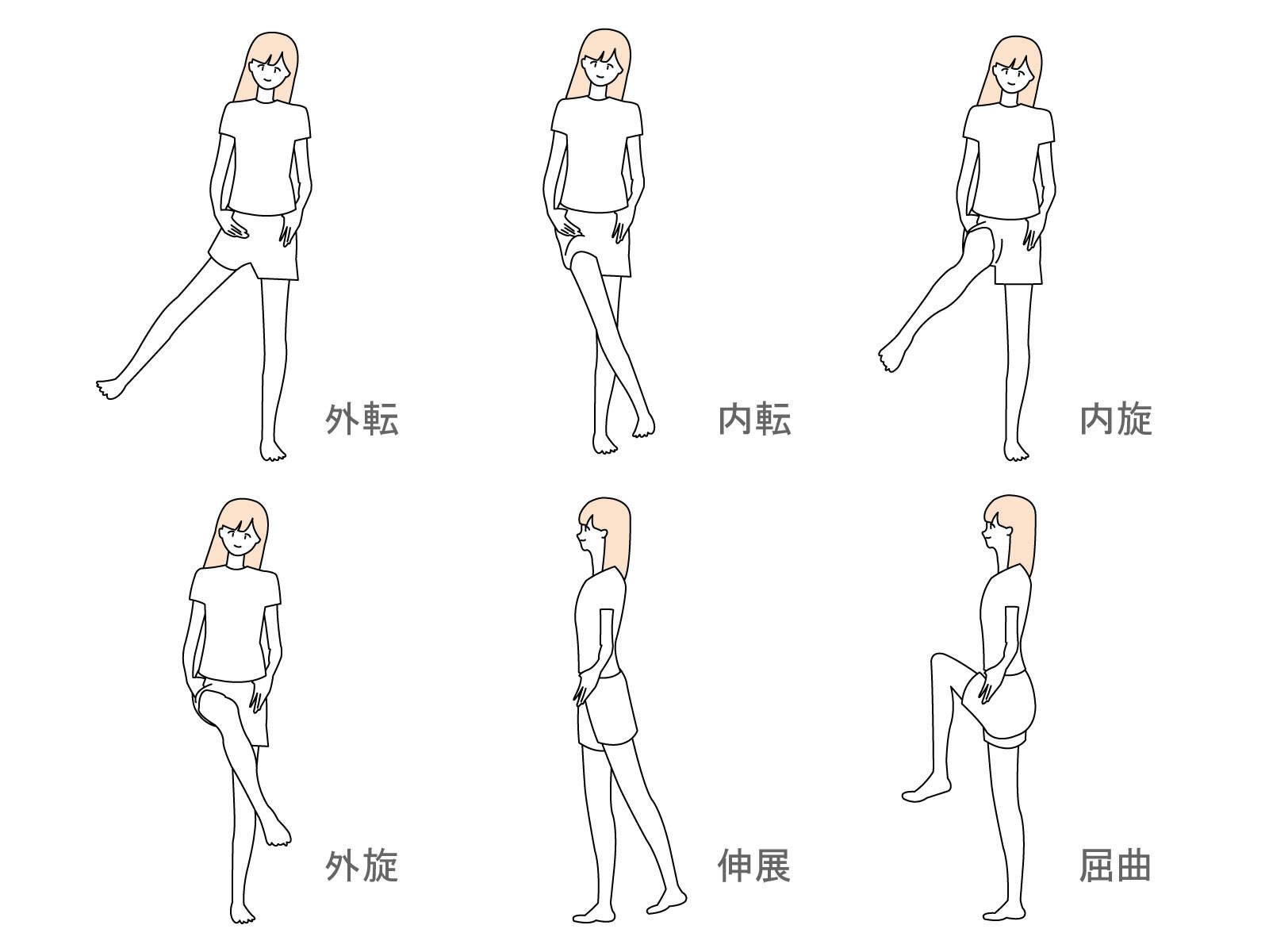 股関節の可動域