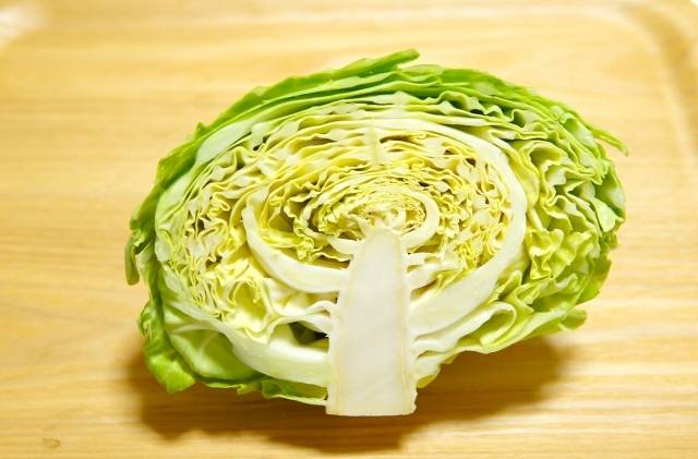 春キャベツ