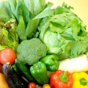 温野菜と生野菜、春の不調に効くのはどっち？｜管理栄養士が解説