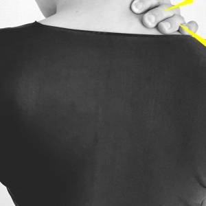 【揺らすだけで解消】肩を揉んでも肩こりが続く理由と「ガチガチ肩甲骨」ほぐしエクササイズ