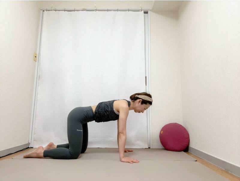 四つ這いの体勢