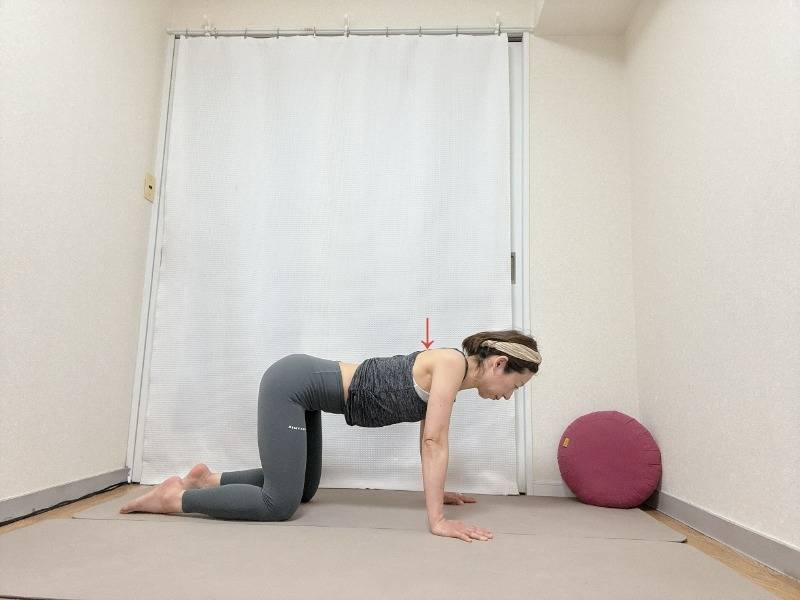 左右の肩甲骨を寄せた四つ這いの体勢