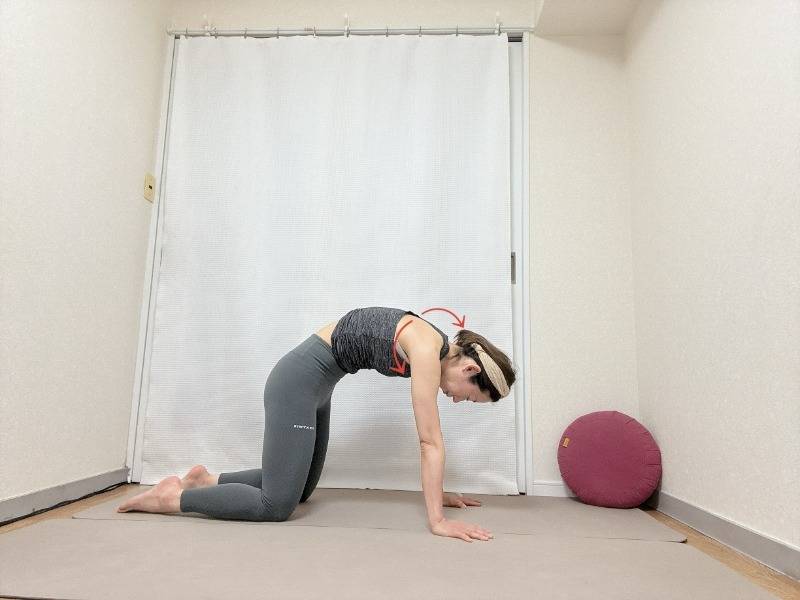 背中を丸めて肩甲骨を左右に開いた四つ這いの体勢