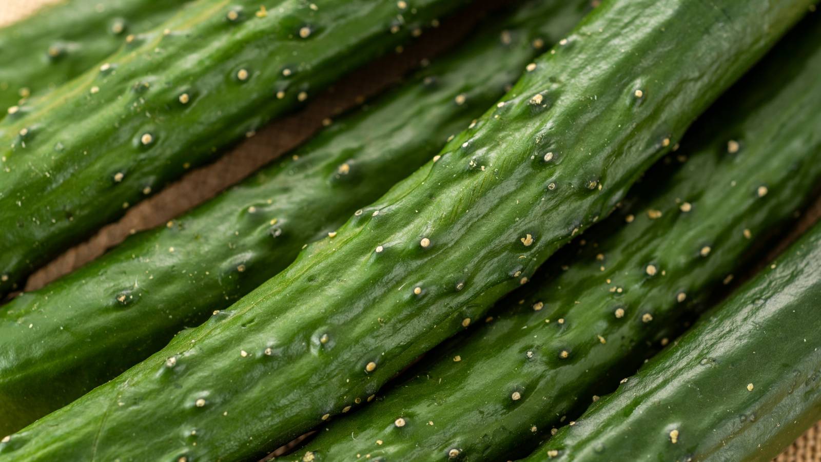 しなびたキュウリが復活！シャキシャキ感を戻す「驚きの保存テク」を管理栄養士が解説