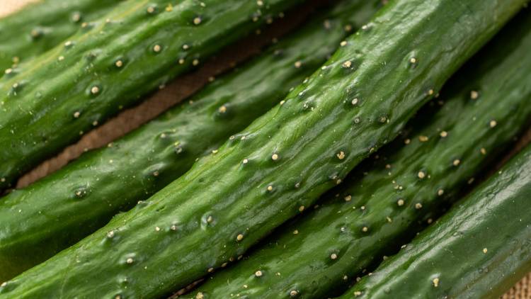 しなびたキュウリが復活!シャキシャキ感を戻す「驚きの保存テク」を管理栄養士が解説