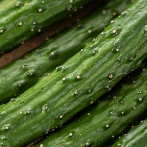 しなびたキュウリが復活!シャキシャキ感を戻す「驚きの保存テク」を管理栄養士が解説