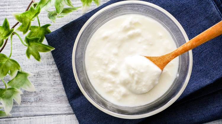 鉄不足を防ぐ！朝、ヨーグルトと組み合わせると良い鉄分食材とは？｜管理栄養士が解説