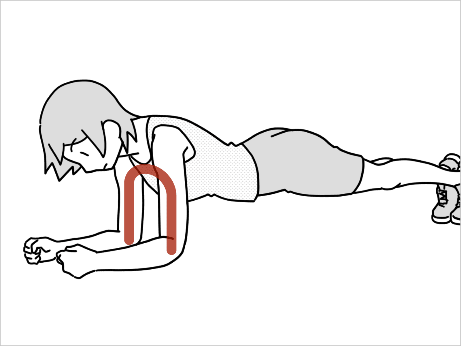 腕は鎖骨から始まっていて、腕と胴体の前側でアーチを作る