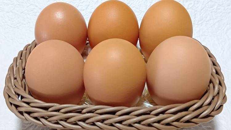 鉄不足を防ぐ！朝、卵と組み合わせたい”鉄分野菜”を管理栄養士が解説