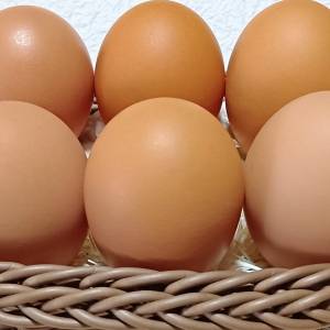 鉄不足を防ぐ！朝、卵と組み合わせたい”鉄分野菜”を管理栄養士が解説