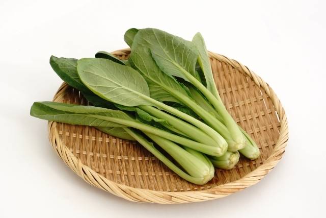小松菜