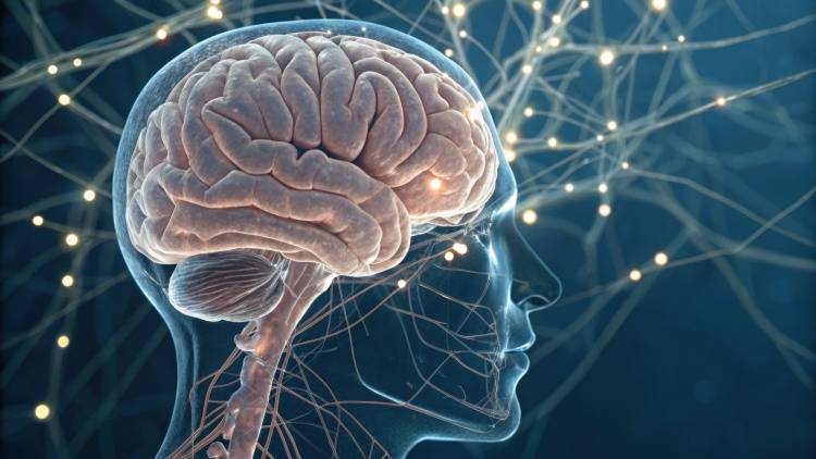 「ダラダラする時間が欲しいから」意外な理由から生まれた過集中メソッド®創始者が教える実践法