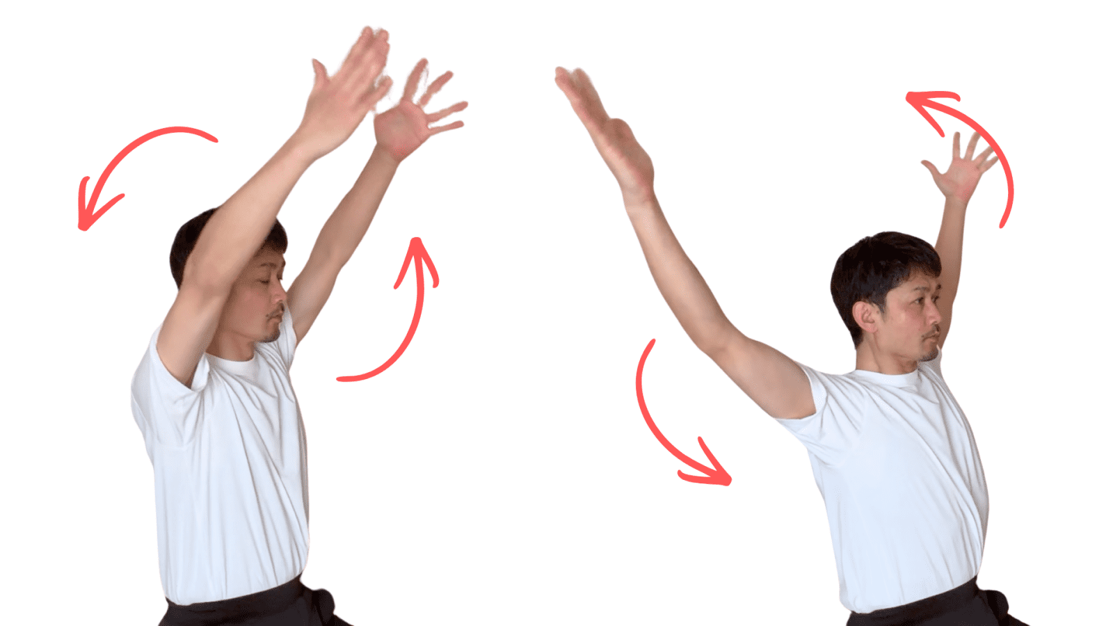 photo by Yusuke Honda