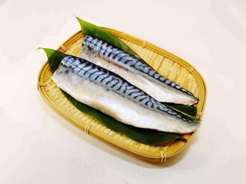 青魚