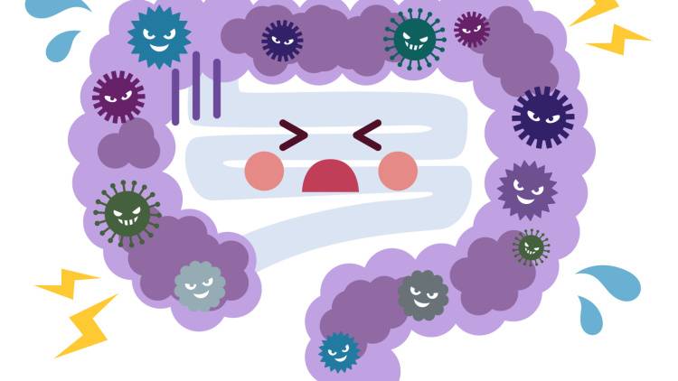 「体にいいと思ってたのに…」腸内環境を悪化させる“意外な食べ物”3選【管理栄養士が解説】