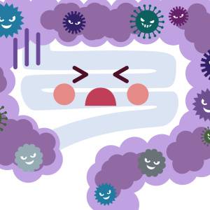 「体にいいと思ってたのに…」腸内環境を悪化させる“意外な食べ物”3選【管理栄養士が解説】