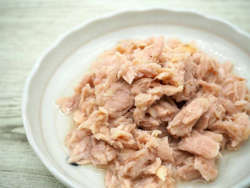 ツナ缶とサバ缶、ダイエット中に食べるならどっち？