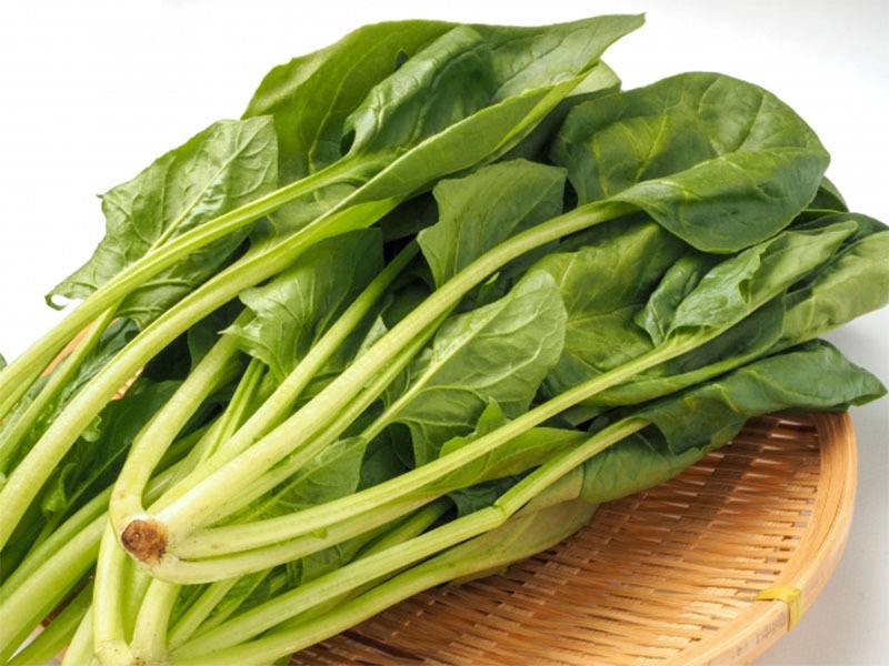 葉酸不足を防ぐ！朝、ゆで卵と組み合わせると良い食材とは？