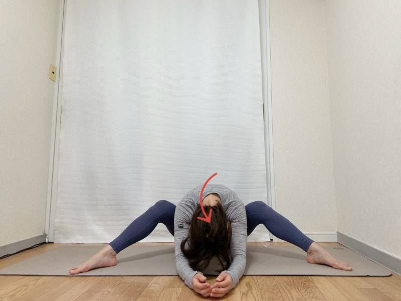 脚を広めに開いて膝を立てて座り、背骨を緩めて前屈した体勢