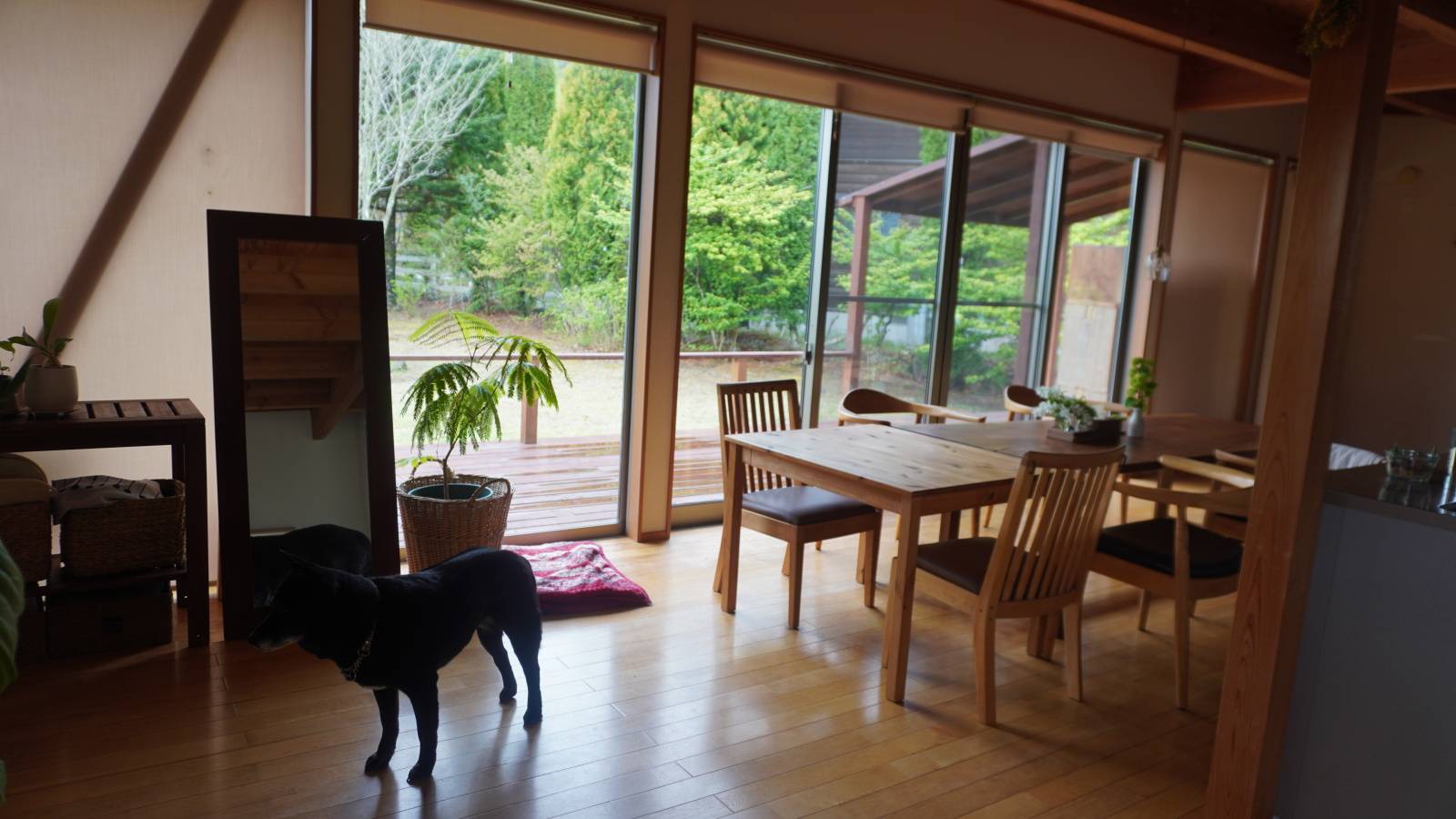 〈北杜市移住〉「どこに住んでも同じ」移住後、夫が言った衝撃の一言の真相 #暮らしの選択肢