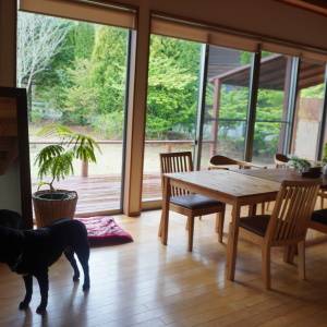 〈北杜市移住〉「どこに住んでも同じ」移住後、夫が言った衝撃の一言の真相 #暮らしの選択肢