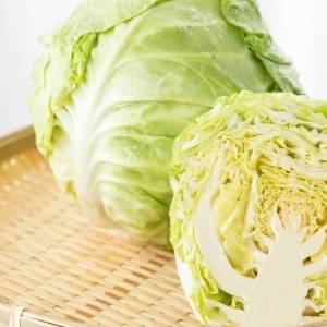 ビタミン&食物繊維たっぷり!春キャベツの体が整うレシピ【管理栄養士が解説】
