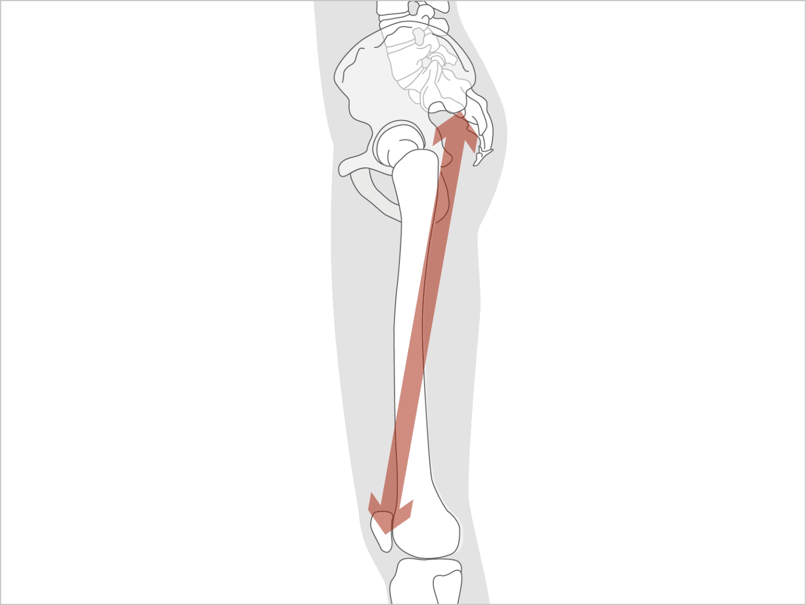 「太ももの骨が伸びる」と思う