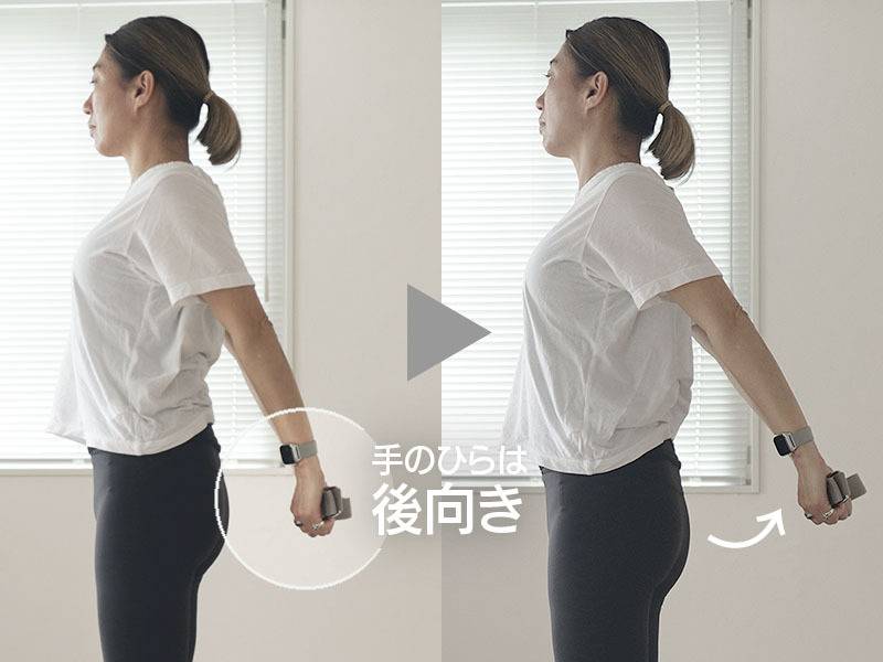巻肩エクサB