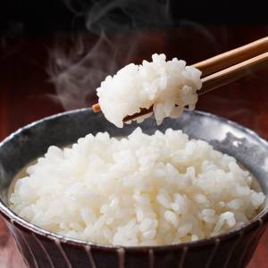 亜鉛不足を防ぐ！朝ごはんに“ひとふり”するだけで補える食材とおすすめの食べ方3選｜管理栄養士が解説