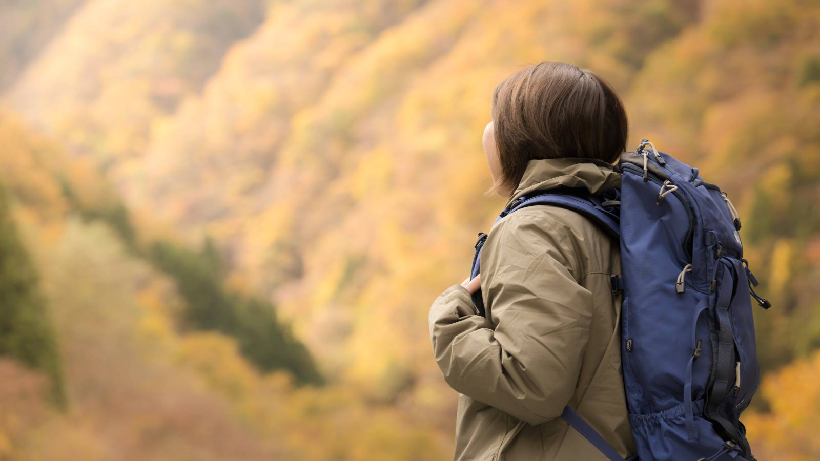  「もうすぐ50」焦りと疲労を抱え山へ。アラフィフ女性が蓼科で半年暮らし手放せたもの、出会えたもの 