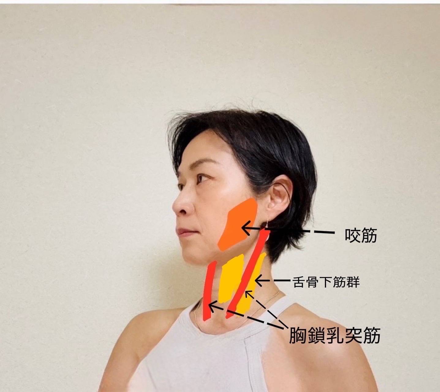 筋肉