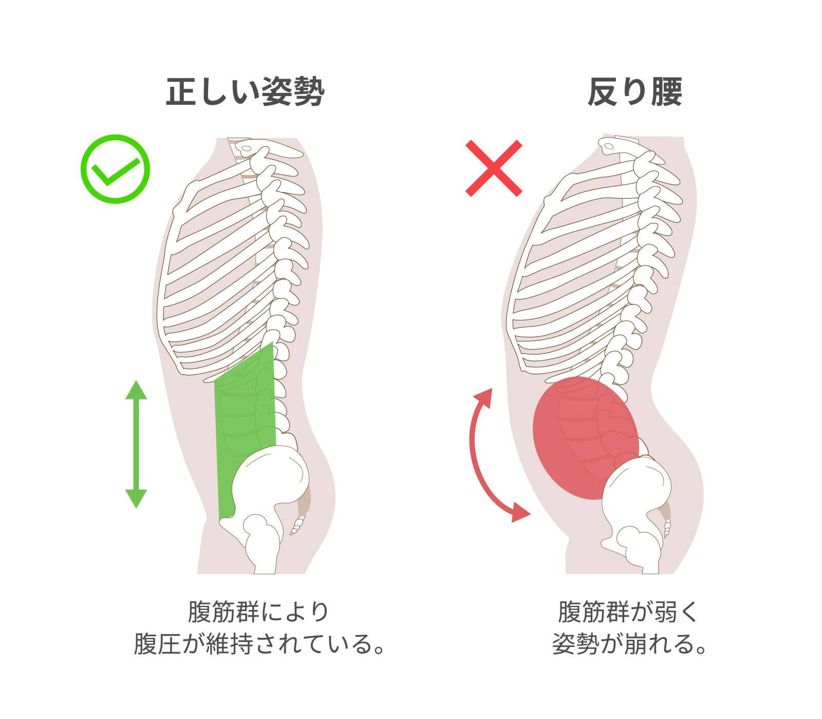 下腹部